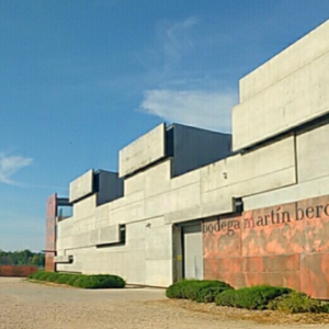 Visita Bodegas Martín Berdugo